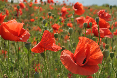 Similar image 997570