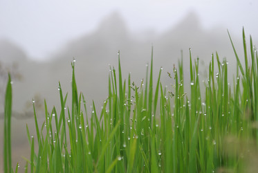 Similar image 997597