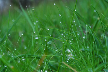 Similar image 997599