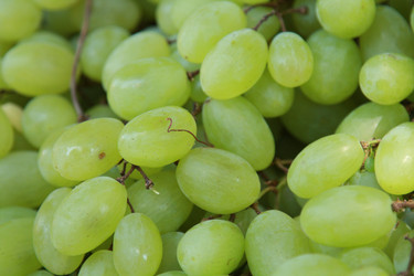 Similar image 997603