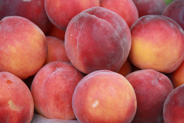 Similar image 997605