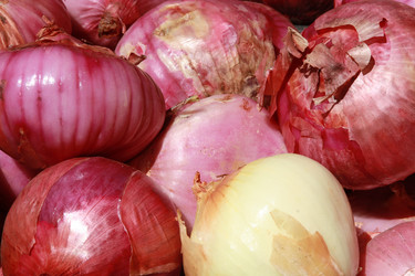 Similar image 997624