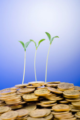 Similar image 997626