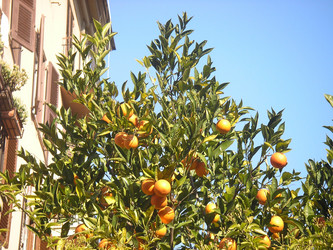 Similar image 997679