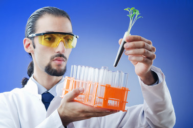 Similar image 997727