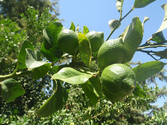 Similar image 997737