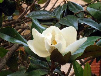 Similar image 997802