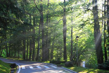 Similar image 997807