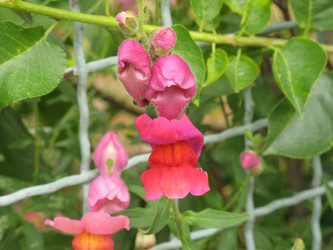 Similar image 997811