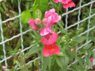 Similar image 997812