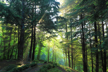 Similar image 997816