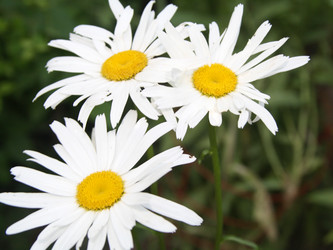 Similar image 997990