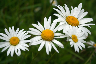 Similar image 997991