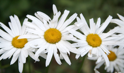 Similar image 997994