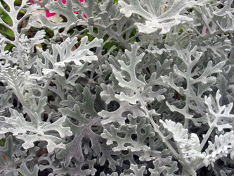 Similar image 998399