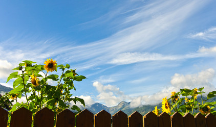 Similar image 998411