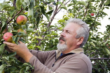 Similar image 998413