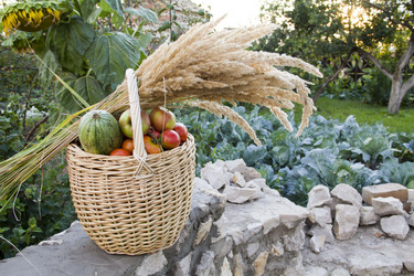 Similar image 998414