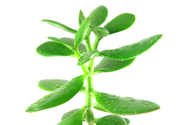 Similar image 998511