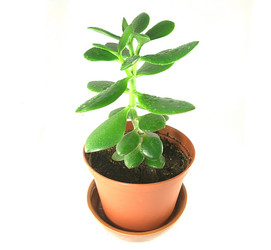 Similar image 998512