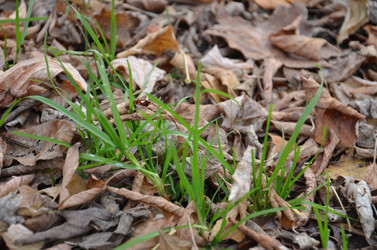 Similar image 998588