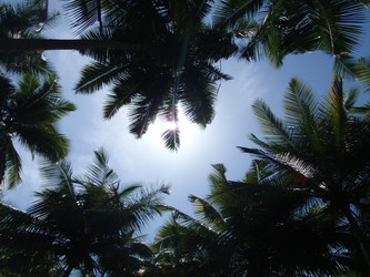 Similar image 998607