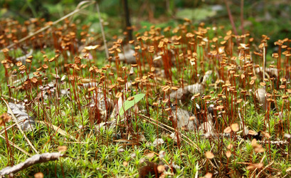 Similar image 998642