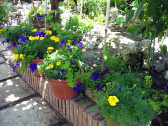 Similar image 998707