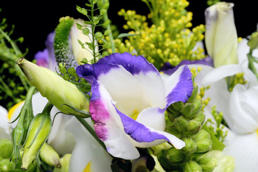 Similar image 998721