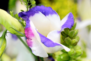 Similar image 998725