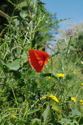 Similar image 998726