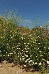 Similar image 998728