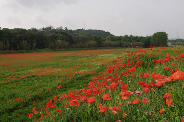 Similar image 998738