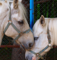 Similar image 998779