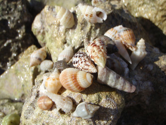 Similar image 998792