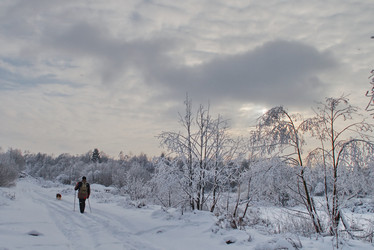 Similar image 998809