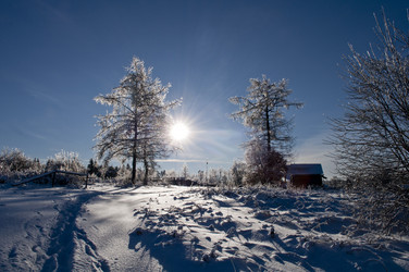 Similar image 998811