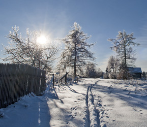 Similar image 998815