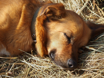 Similar image 998817