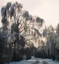 Similar image 998818