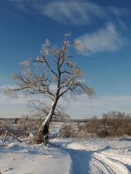 Similar image 998819