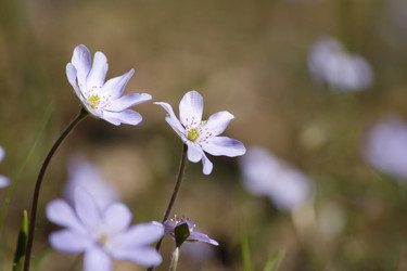 Similar image 998882