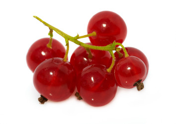 Similar image 998890