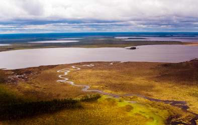 Similar image 998901