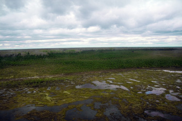 Similar image 998904