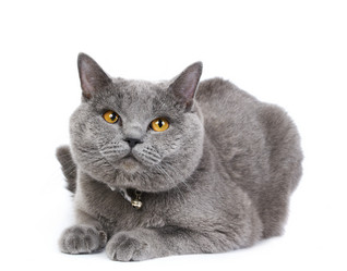 Similar image 998905