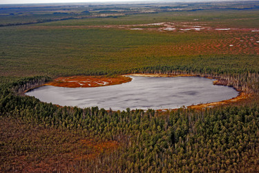 Similar image 998907