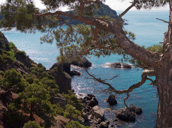 Similar image 998927