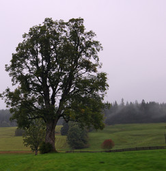 Similar image 998930