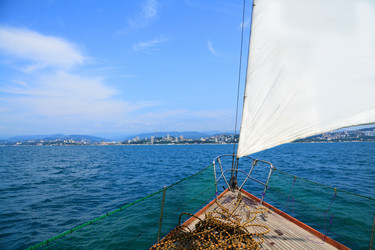 Similar image 998932